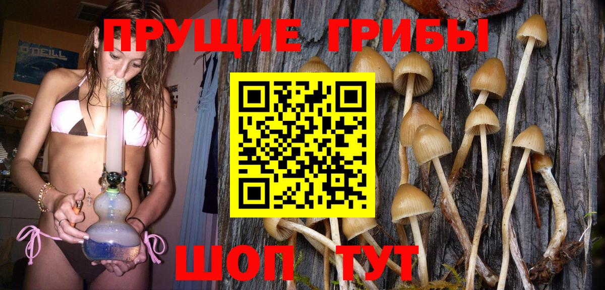 Галлюциногенные грибы Psilocybe  Вход с VPN  Белогорск  Псилоцибиновые грибы Psilocybine cubensis 